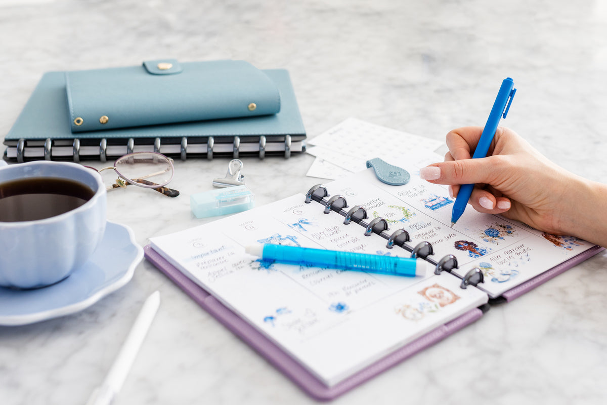 Blueberry Stationery – Blueberry Papeterie