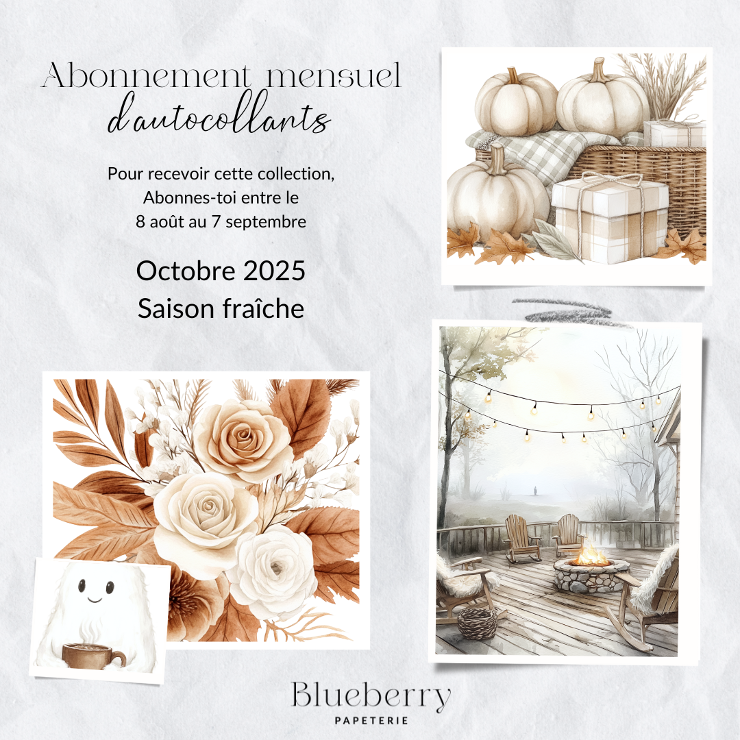 Monthly sticker subscription-french