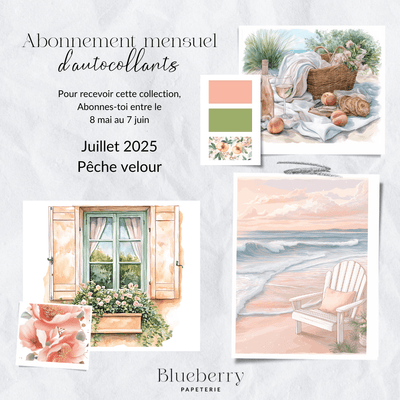 Abonnement mensuel d'autocollants - Blueberry Papeterie