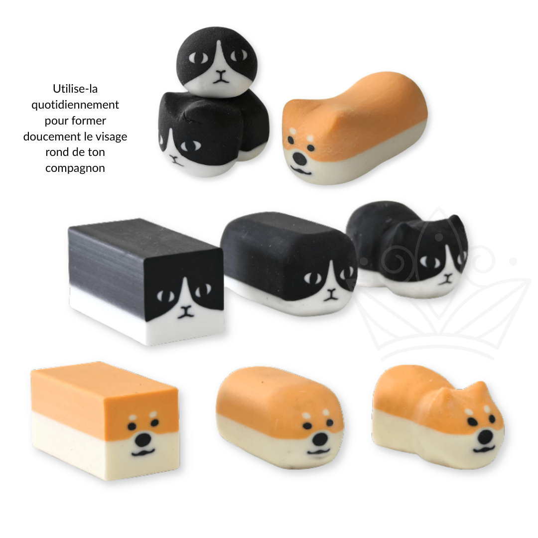 Gomme à effacer Chien Shiba - Blueberry Papeterie
