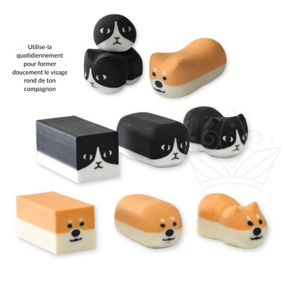 Gomme à effacer Chien Shiba - Blueberry Papeterie
