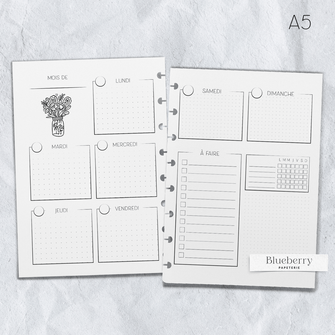 Intérieur de l'agenda - Illustré à cases - 2e édition - Grand - Blueberry Papeterie
