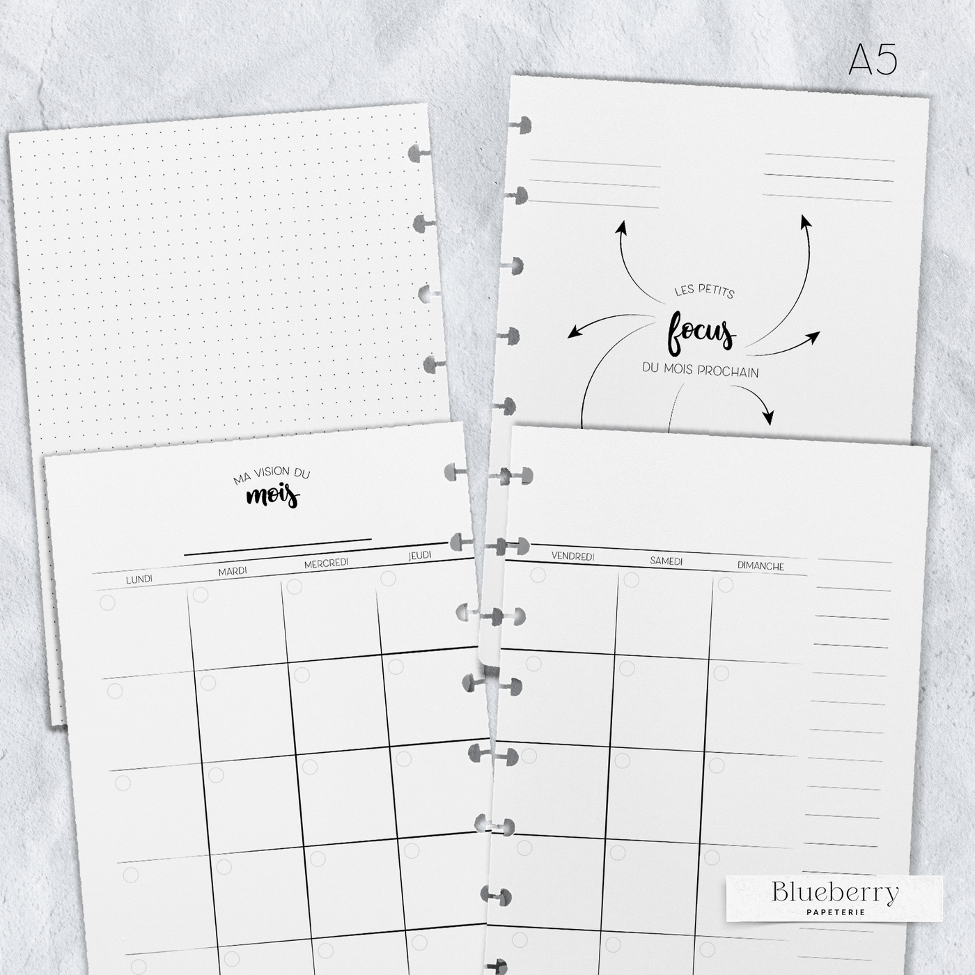 Intérieur de l'agenda - Illustré à cases - 2e édition - Petit A5 - Blueberry Papeterie