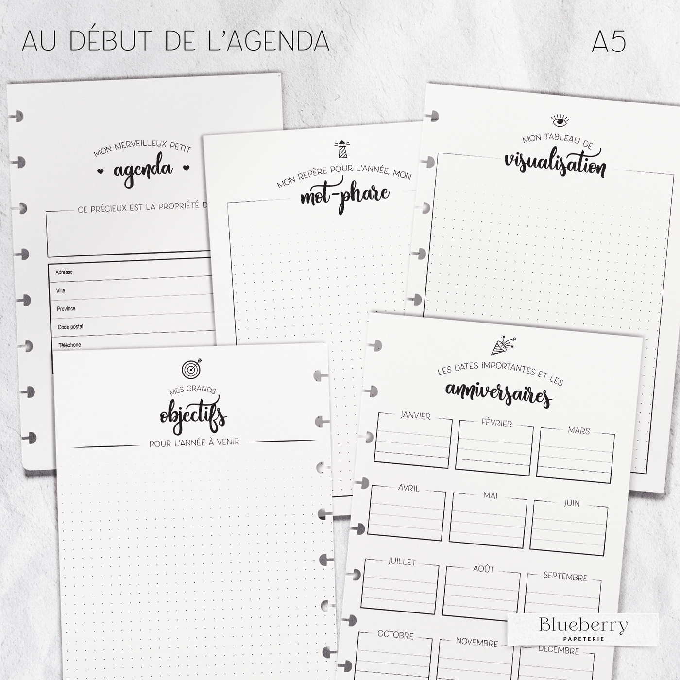 Intérieur de l'agenda - Illustré à cases - 2e édition - Petit A5 - Blueberry Papeterie