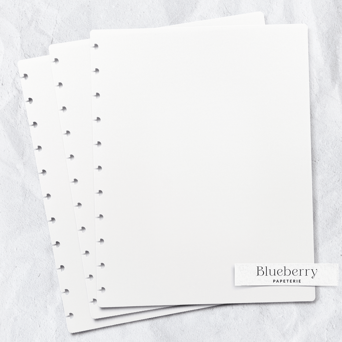 Recharge - 25 Feuilles vierges - Grand - Blueberry Papeterie